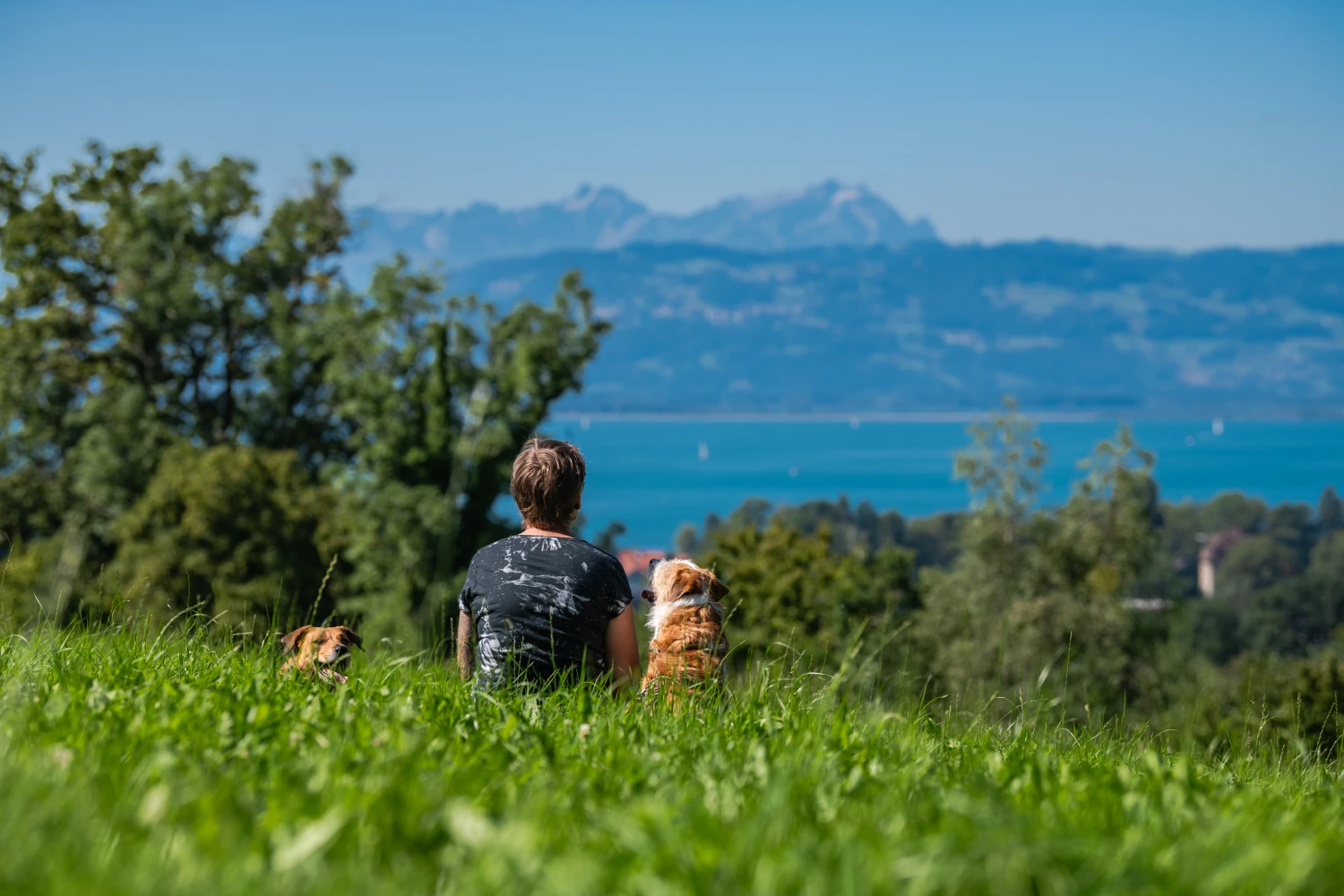 Gut abgerichtet, kann der Mensch der beste Freund des Hundes sein.